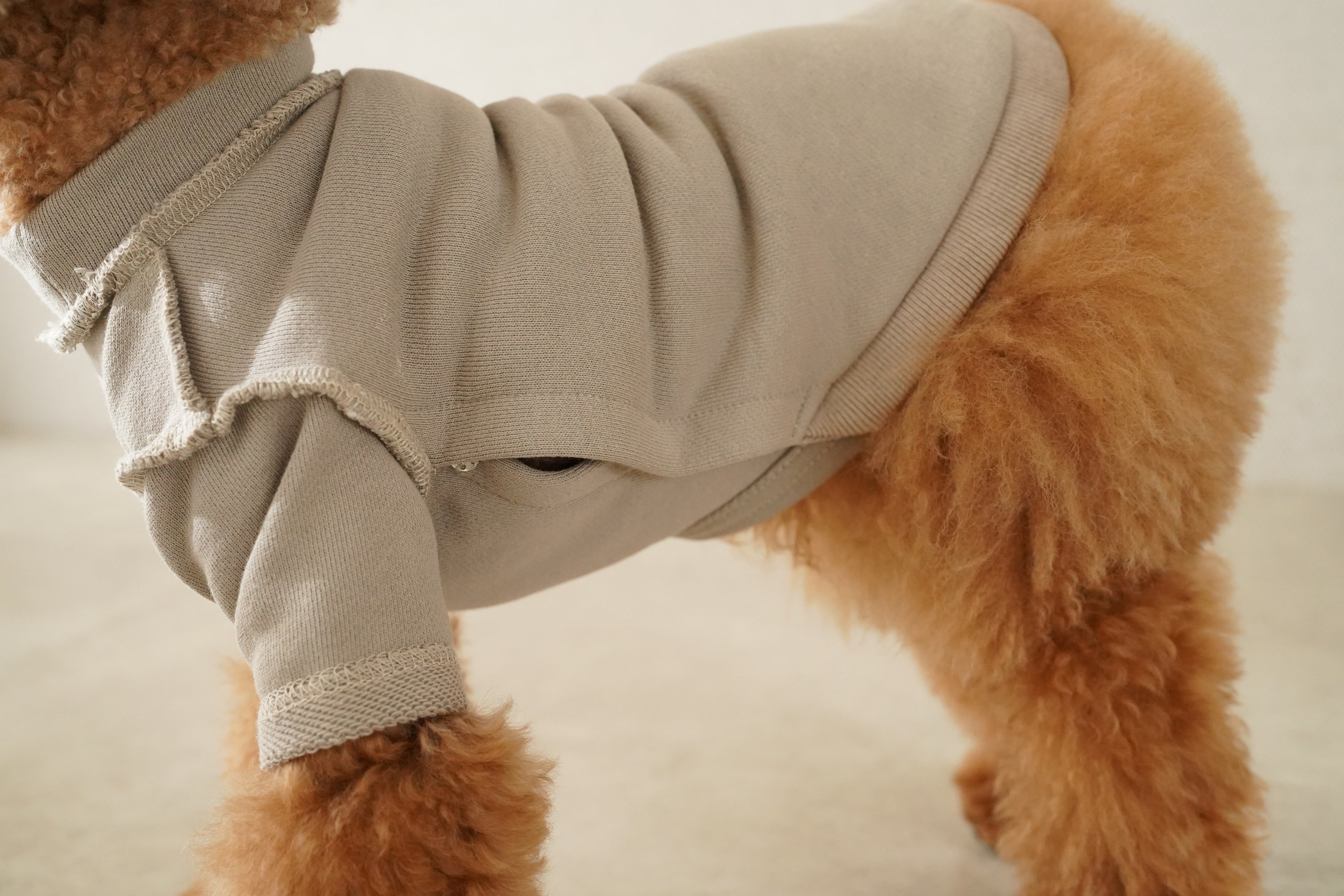 プレステージ・オーガニック・タートル